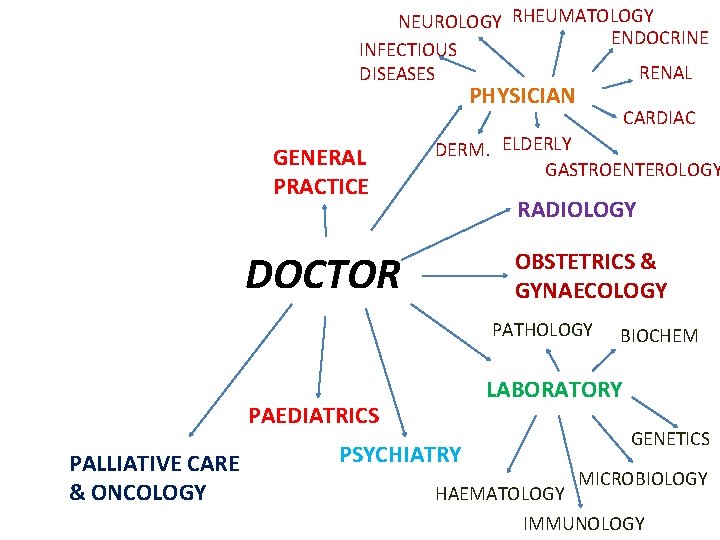 NEUROLOGY RHEUMATOLOGY ENDOCRINE INFECTIOUS RENAL DISEASES PHYSICIAN GENERAL PRACTICE CARDIAC DERM. ELDERLY GASTROENTEROLOGY RADIOLOGY