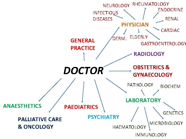 NEUROLOGY RHEUMATOLOGY ENDOCRINE INFECTIOUS RENAL DISEASES PHYSICIAN GENERAL PRACTICE CARDIAC DERM. ELDERLY GASTROENTEROLOGY RADIOLOGY