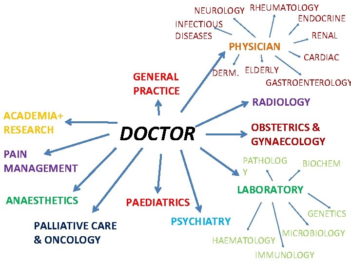 NEUROLOGY RHEUMATOLOGY ENDOCRINE INFECTIOUS RENAL DISEASES PHYSICIAN GENERAL PRACTICE ACADEMIA+ RESEARCH DERM. ELDERLY GASTROENTEROLOGY