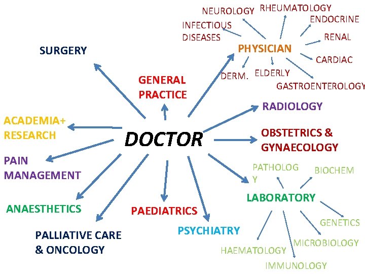 SURGERY NEUROLOGY RHEUMATOLOGY ENDOCRINE INFECTIOUS RENAL DISEASES PHYSICIAN GENERAL PRACTICE ACADEMIA+ RESEARCH DERM. ELDERLY SURGERY NEUROLOGY RHEUMATOLOGY ENDOCRINE INFECTIOUS RENAL DISEASES PHYSICIAN GENERAL PRACTICE ACADEMIA+ RESEARCH DERM. ELDERLY