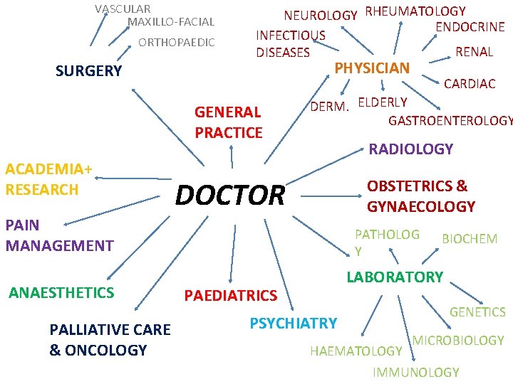 VASCULAR MAXILLO-FACIAL ORTHOPAEDIC SURGERY NEUROLOGY RHEUMATOLOGY ENDOCRINE INFECTIOUS RENAL DISEASES PHYSICIAN GENERAL PRACTICE ACADEMIA+