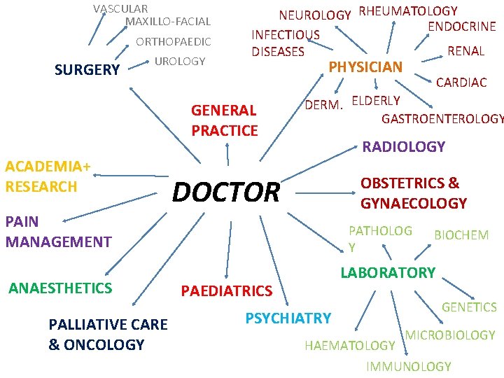 VASCULAR MAXILLO-FACIAL ORTHOPAEDIC SURGERY UROLOGY NEUROLOGY RHEUMATOLOGY ENDOCRINE INFECTIOUS RENAL DISEASES PHYSICIAN GENERAL PRACTICE