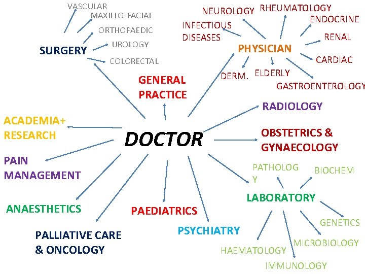 VASCULAR MAXILLO-FACIAL ORTHOPAEDIC SURGERY UROLOGY NEUROLOGY RHEUMATOLOGY ENDOCRINE INFECTIOUS RENAL DISEASES PHYSICIAN COLORECTAL GENERAL