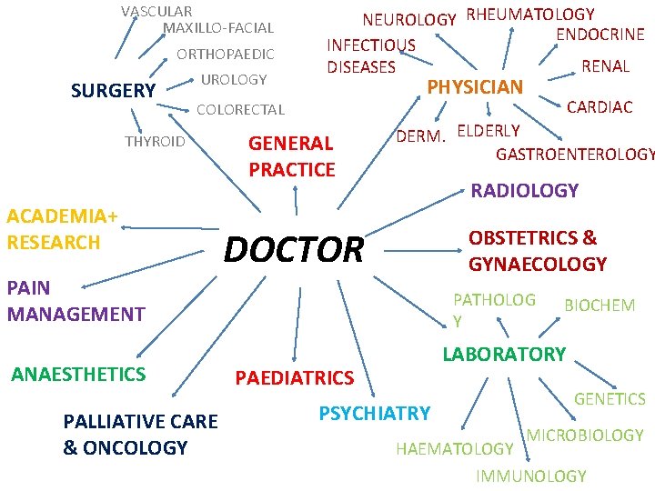 VASCULAR MAXILLO-FACIAL ORTHOPAEDIC SURGERY UROLOGY NEUROLOGY RHEUMATOLOGY ENDOCRINE INFECTIOUS RENAL DISEASES PHYSICIAN COLORECTAL THYROID