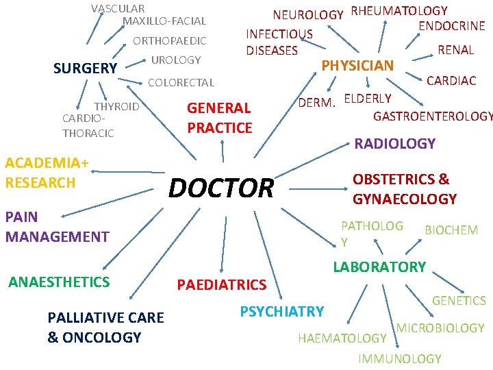 VASCULAR MAXILLO-FACIAL ORTHOPAEDIC SURGERY UROLOGY NEUROLOGY RHEUMATOLOGY ENDOCRINE INFECTIOUS RENAL DISEASES PHYSICIAN COLORECTAL THYROID