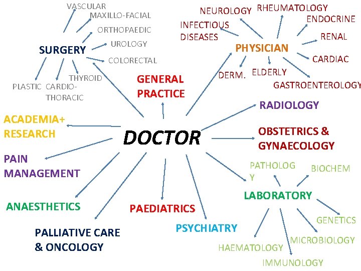 VASCULAR MAXILLO-FACIAL ORTHOPAEDIC SURGERY UROLOGY NEUROLOGY RHEUMATOLOGY ENDOCRINE INFECTIOUS RENAL DISEASES PHYSICIAN COLORECTAL THYROID