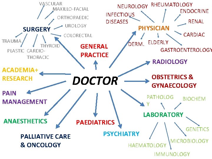 VASCULAR MAXILLO-FACIAL ORTHOPAEDIC SURGERY TRAUMA UROLOGY NEUROLOGY RHEUMATOLOGY ENDOCRINE INFECTIOUS RENAL DISEASES PHYSICIAN COLORECTAL