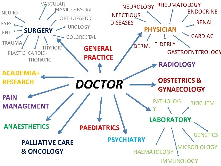 VASCULAR MAXILLO-FACIAL NEURO ORTHOPAEDIC EYES SURGERY ENT TRAUMA UROLOGY NEUROLOGY RHEUMATOLOGY ENDOCRINE INFECTIOUS RENAL