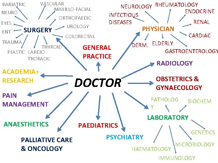 BARIATRIC NEURO EYES VASCULAR MAXILLO-FACIAL ORTHOPAEDIC SURGERY ENT TRAUMA UROLOGY NEUROLOGY RHEUMATOLOGY ENDOCRINE INFECTIOUS