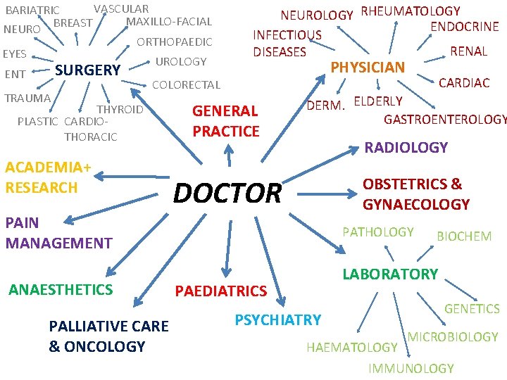 VASCULAR BARIATRIC RHEUMATOLOGY NEUROLOGY MAXILLO-FACIAL BREAST ENDOCRINE NEURO INFECTIOUS ORTHOPAEDIC RENAL DISEASES EYES UROLOGY