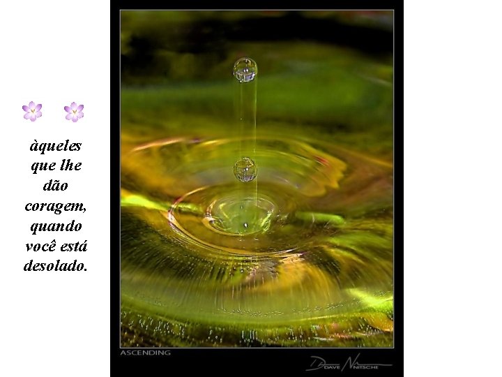 àqueles que lhe dão coragem, quando você está desolado. 