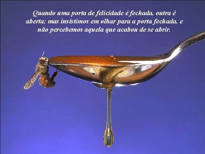 Quando uma porta de felicidade é fechada, outra é aberta; mas insistimos em olhar