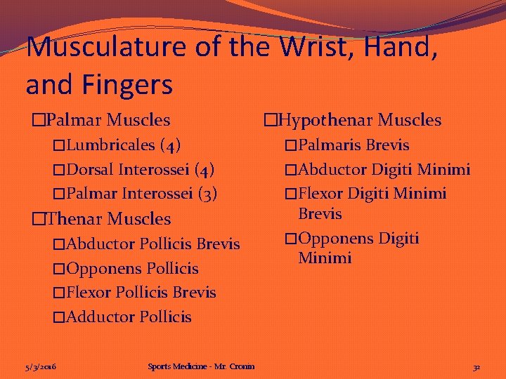 Musculature of the Wrist, Hand, and Fingers �Palmar Muscles �Lumbricales (4) �Dorsal Interossei (4)