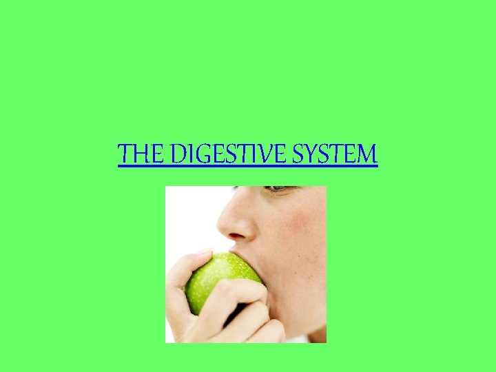 THE DIGESTIVE SYSTEM 