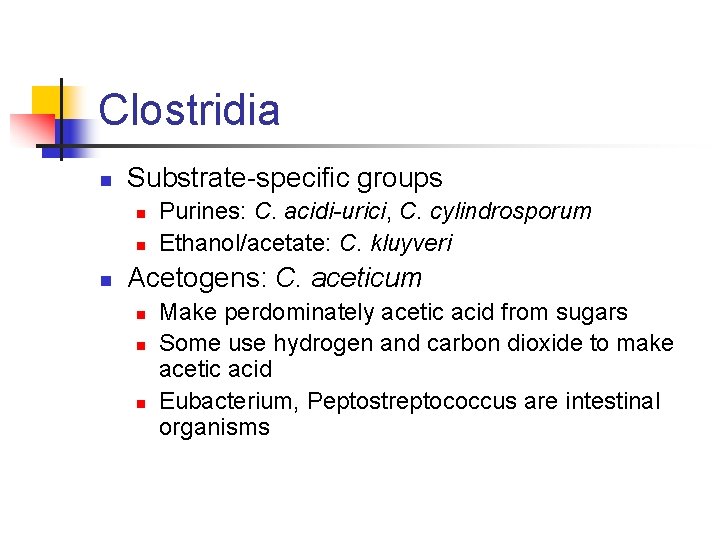 Clostridia n Substrate-specific groups n n n Purines: C. acidi-urici, C. cylindrosporum Ethanol/acetate: C.