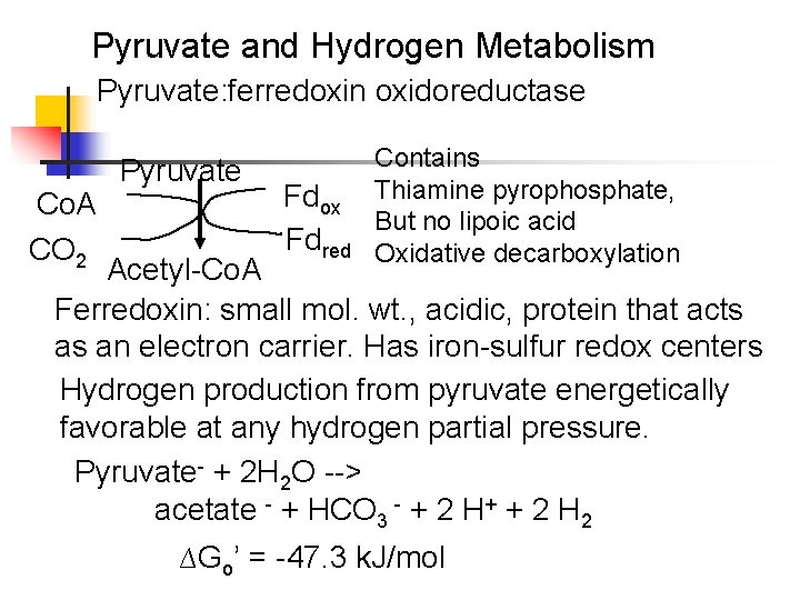 Pyruvate and Hydrogen Metabolism Pyruvate: ferredoxin oxidoreductase Co. A CO 2 Pyruvate Fdox Fdred