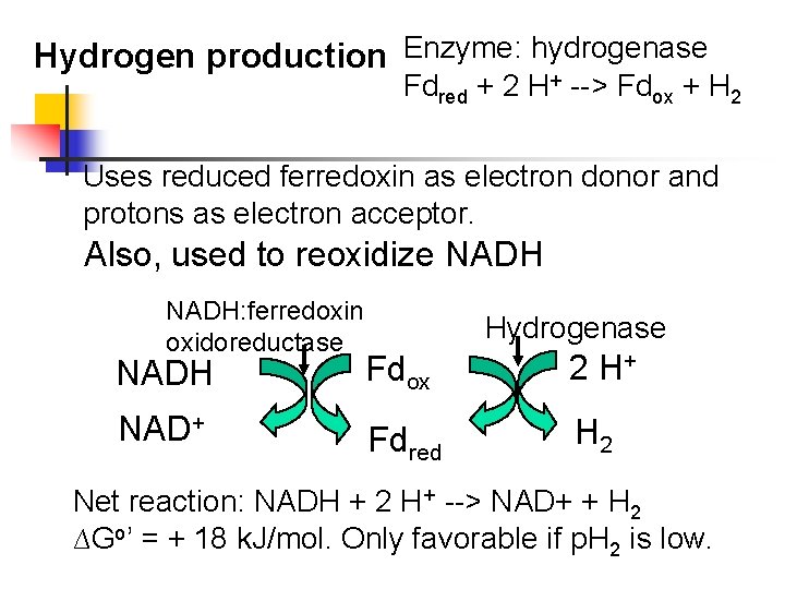 Hydrogen production Enzyme: hydrogenase Fdred + 2 H+ --> Fdox + H 2 Uses