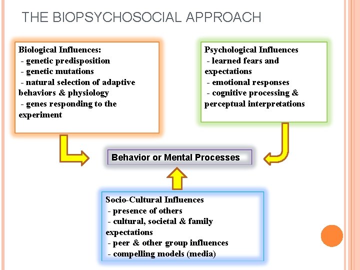 THE BIOPSYCHOSOCIAL APPROACH Biological Influences: - genetic predisposition - genetic mutations - natural selection