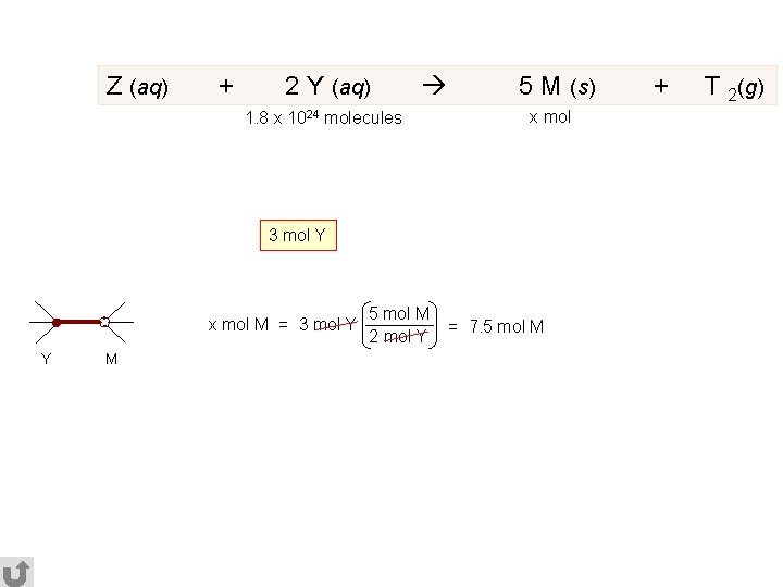 Z (aq) + 2 Y (aq) 1. 8 x 1024 molecules 5 M (s)