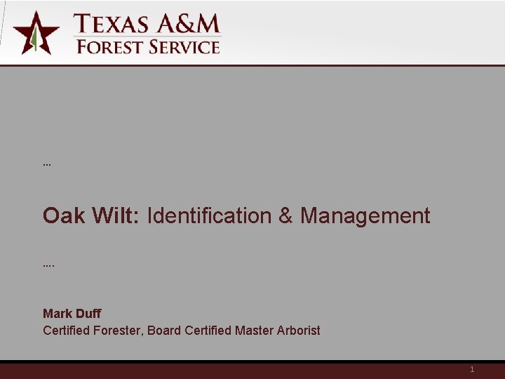 … Oak Wilt: Identification & Management …. Mark Duff Certified Forester, Board Certified Master