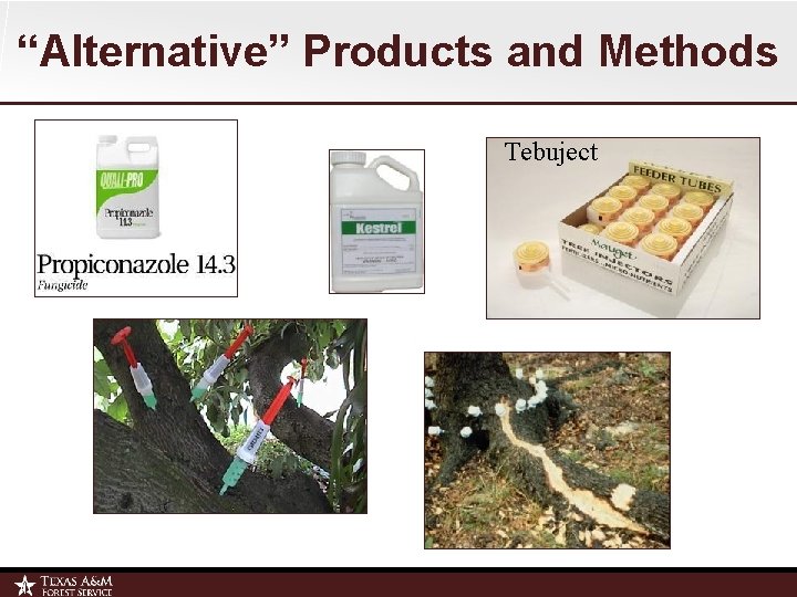 “Alternative” Products and Methods Tebuject 