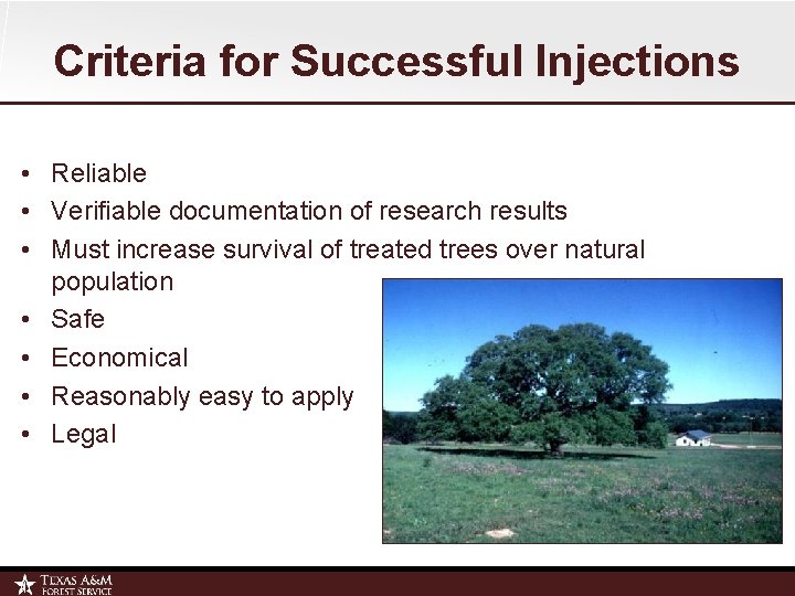 Criteria for Successful Injections • Reliable • Verifiable documentation of research results • Must