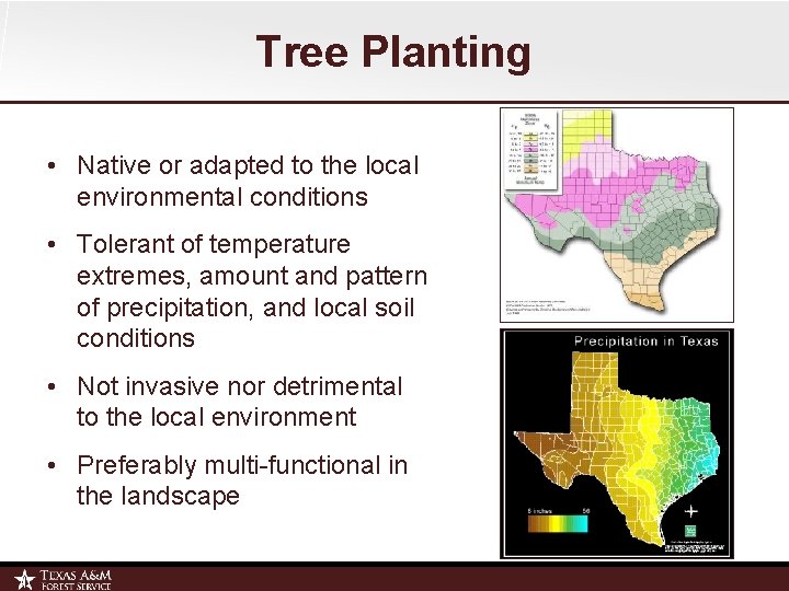 Tree Planting • Native or adapted to the local environmental conditions • Tolerant of