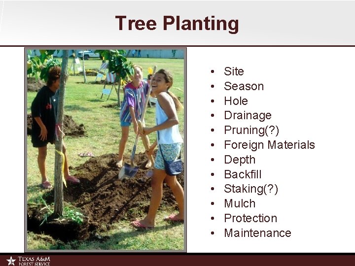 Tree Planting • • • Site Season Hole Drainage Pruning(? ) Foreign Materials Depth