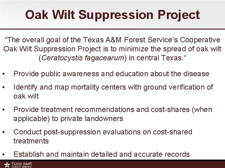 Oak Wilt Suppression Project “The overall goal of the Texas A&M Forest Service’s Cooperative