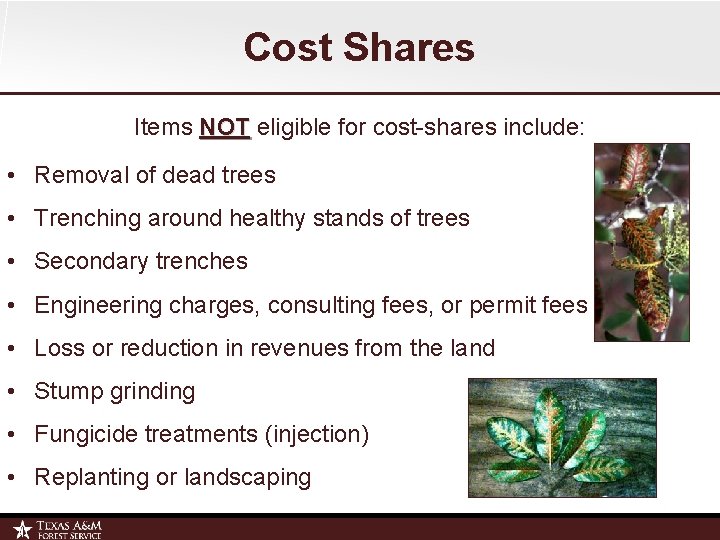 Cost Shares Items NOT eligible for cost-shares include: • Removal of dead trees •