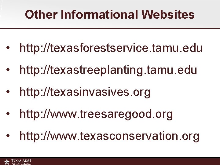 Other Informational Websites • http: //texasforestservice. tamu. edu • http: //texastreeplanting. tamu. edu •