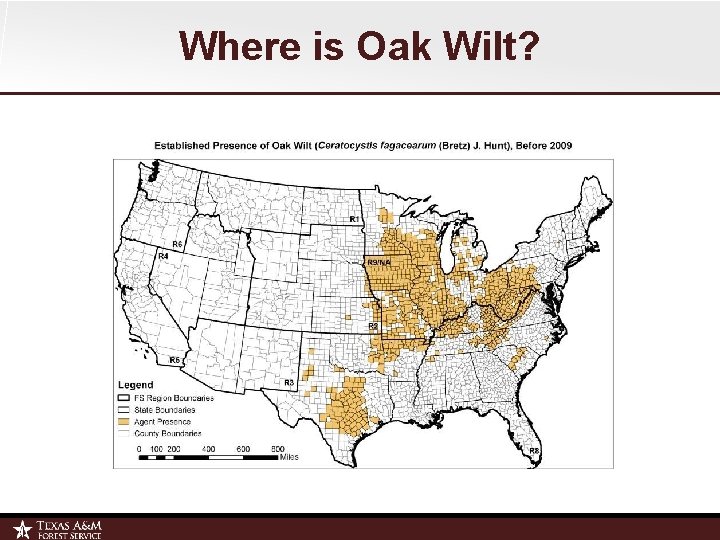 Where is Oak Wilt? 