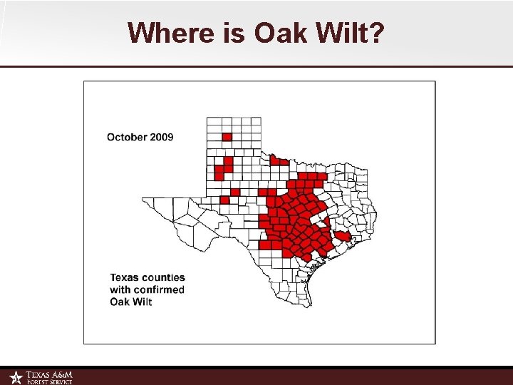 Where is Oak Wilt? 