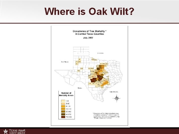 Where is Oak Wilt? 