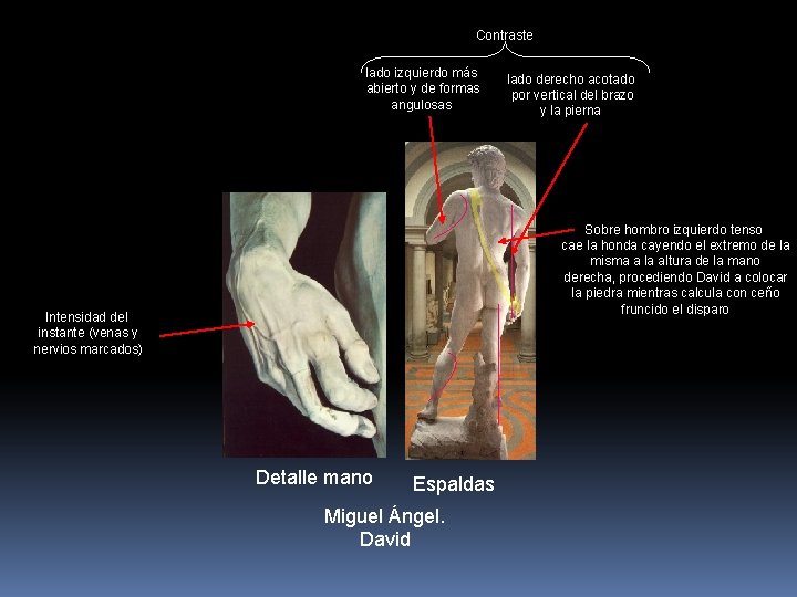 Contraste lado izquierdo más abierto y de formas angulosas lado derecho acotado por vertical
