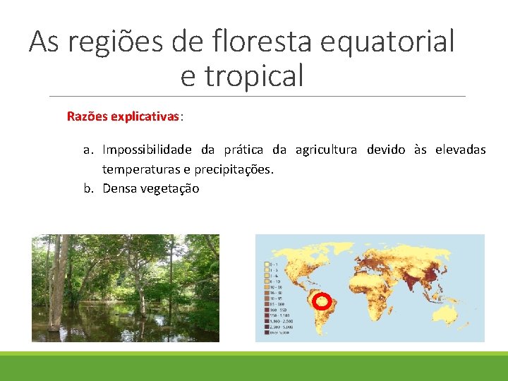 As regiões de floresta equatorial e tropical Razões explicativas: a. Impossibilidade da prática da