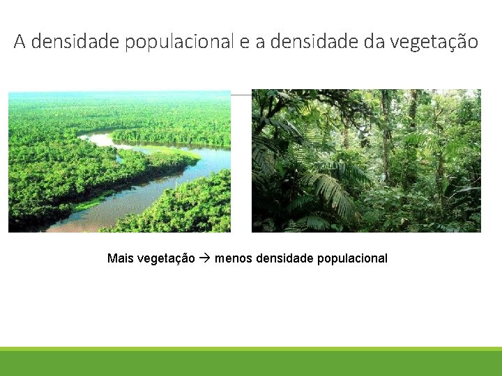 A densidade populacional e a densidade da vegetação Mais vegetação menos densidade populacional 