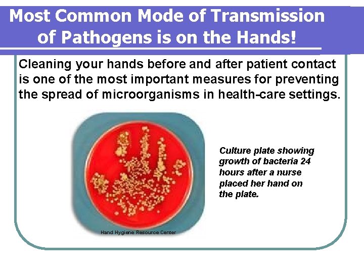 Most Common Mode of Transmission of Pathogens is on the Hands! Cleaning your hands Most Common Mode of Transmission of Pathogens is on the Hands! Cleaning your hands