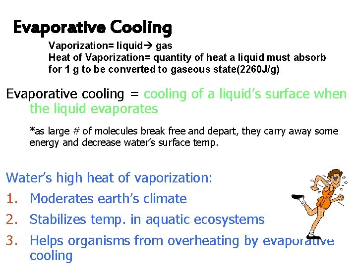 Evaporative Cooling Vaporization= liquid gas Heat of Vaporization= quantity of heat a liquid must
