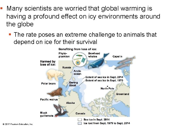 § Many scientists are worried that global warming is having a profound effect on