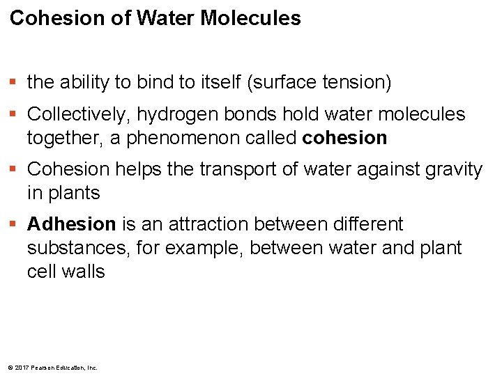 Cohesion of Water Molecules § the ability to bind to itself (surface tension) §
