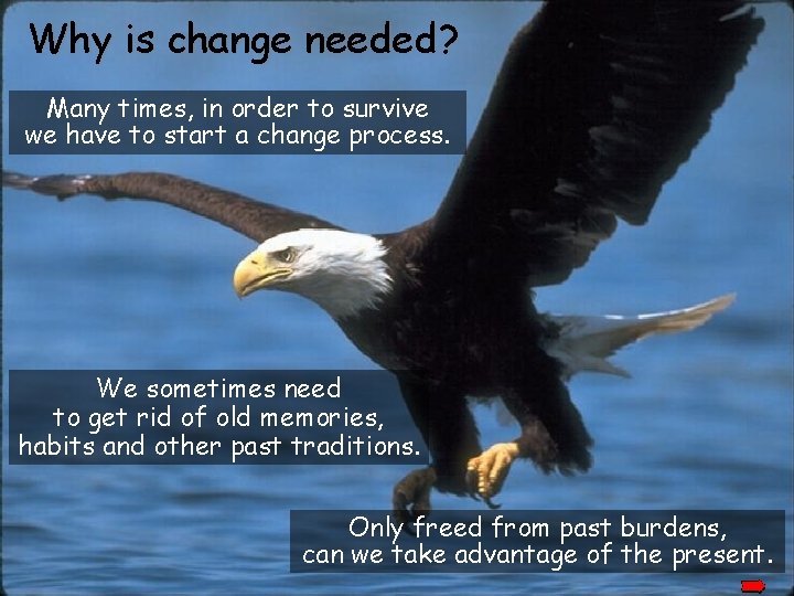 Why is change needed? Many times, in order to survive we have to start