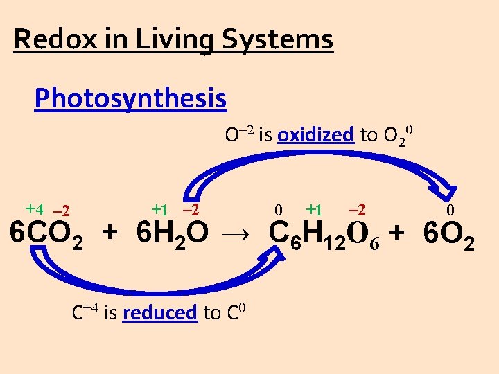 Redox in Living Systems Photosynthesis O– 2 is oxidized to O 20 +4 –