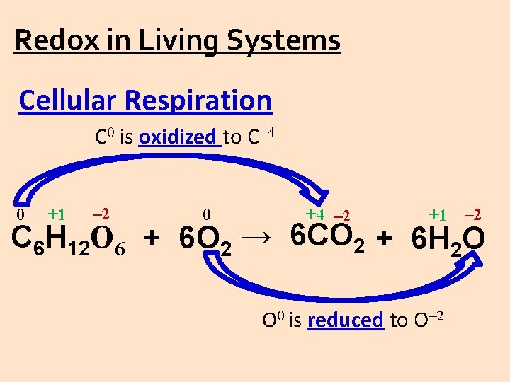 Redox in Living Systems Cellular Respiration C 0 is oxidized to C+4 0 +1