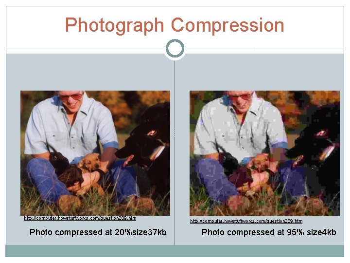 Photograph Compression http: //computer. howstuffworks. com/question 289. htm Photo compressed at 20%size 37 kb