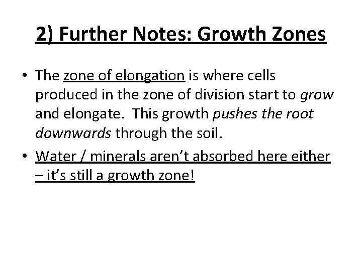 2) Further Notes: Growth Zones • The zone of elongation is where cells produced