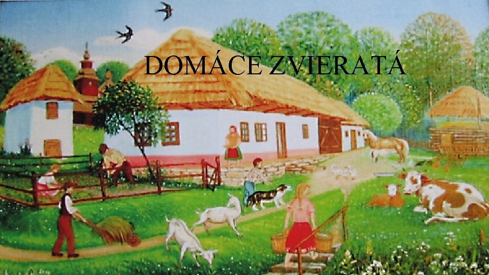 DOMÁCE ZVIERATÁ 