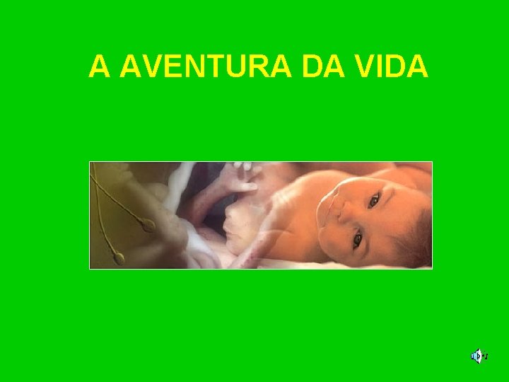 A AVENTURA DA VIDA 