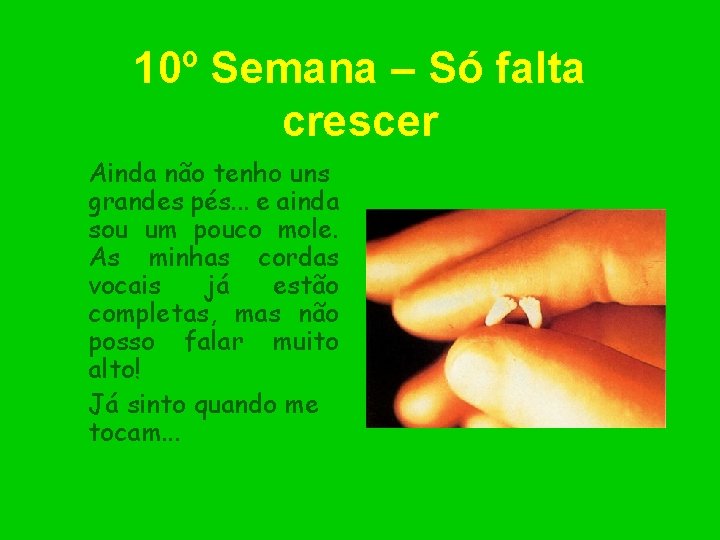 10º Semana – Só falta crescer Ainda não tenho uns grandes pés. . .