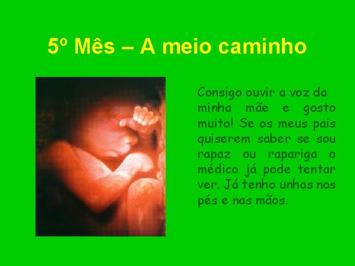 5º Mês – A meio caminho Consigo ouvir a voz da minha mãe e